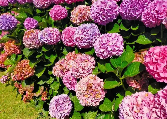 別荘 La Casita De Tonita